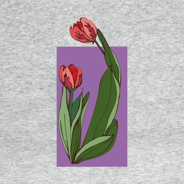 Botanical illustration of the plant tulips by EEVLADA